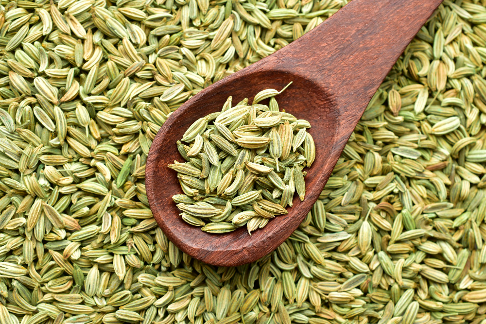 Fennel Seeds